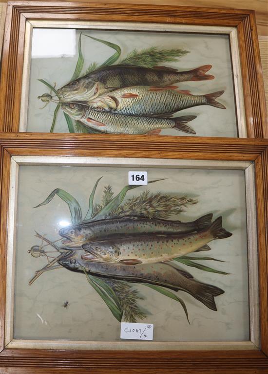 A pair of framed trout, with three dimensional raised images